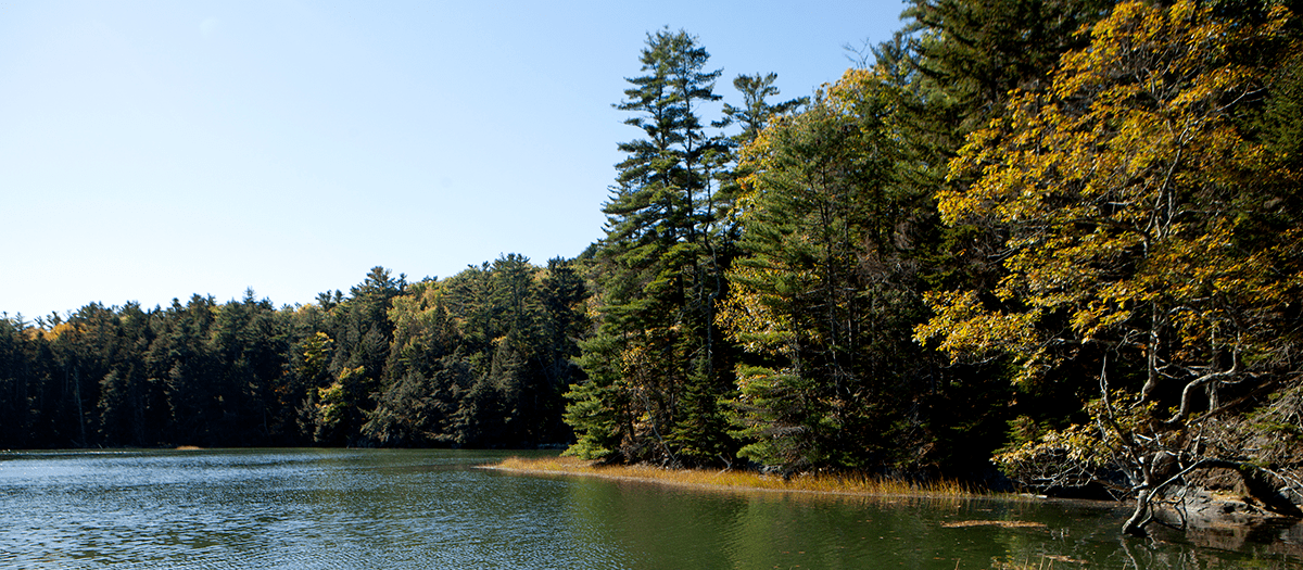 Maine Audubon People for Wildlife